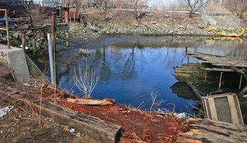 Automóvil cae a arroyo en Nueva York; hay cuatro muertos