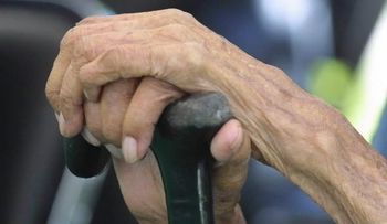 Alzhéimer y párkinson no tienen cura, pero pueden prevenirse 