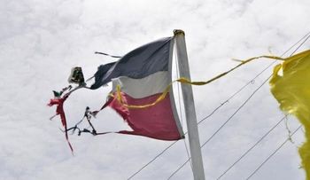Irrespeto y vergüenza a lienzo tricolor