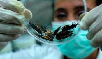 La enfermedad del Chagas llega a República Dominicana; alcances y síntomas