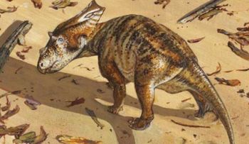 El esqueleto intacto de un dinosaurio de 75 millones de años entusiasma a los científicos