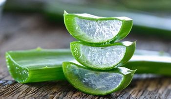 Combate 5 problemas de salud con jugo de aloe vera, así se prepara