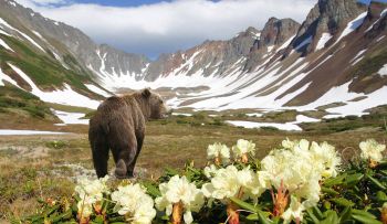 Los agujeros gigantes de Siberia esconden una amenaza planetaria
