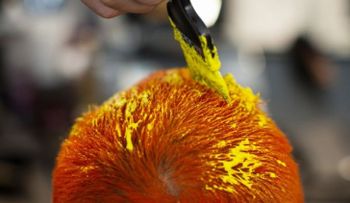 Decide teñirse el pelo y descubre que es alérgico al tinte demasiado tarde