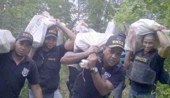 Decomisan 316 paquetes de cocaína Parque Nacional del Este, provincia La Altagracia