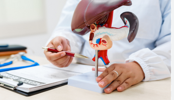 Hígado graso: una epidemia silenciosa ligada al estilo de vida moderno