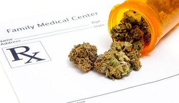 EU admite la marihuana ayuda tratar cáncer de cerebro 