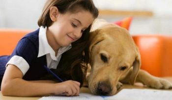 10 reglas de oro para convivencia niños y perros