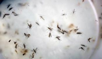 Epidemia zika sigue siendo emergencia sanitaria de alcance internacional