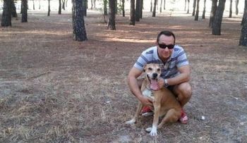 Sacrifican al perro de enfermera infectada con ébola.