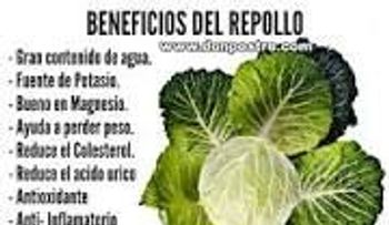 Descubriendo los beneficios del repollo: un aliado contra el estreñimiento y múltiples enfermedades