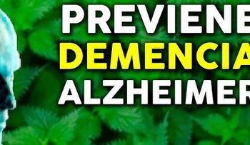 Avance histórico: Desarrollan terapia para frenar el Alzheimer
