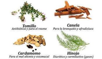 Plantas medicinales para problemas digestivos