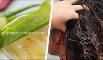 Un cabello largo y hermoso con sábila