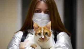 Los gatos también pueden contagiar el COVID-19 a los seres humanos