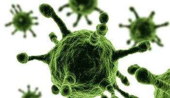 Al menos 320.000 virus desconocidos amenazan a la humanidad, establecieron los científicos