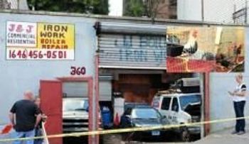 Podrían recibir hasta cuatro años, dominicanos apresados con cerca de 100 gallos de peleas  