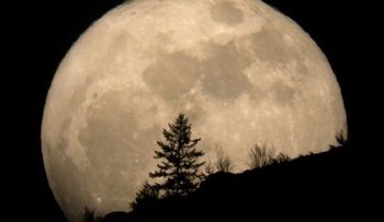 Habrá otra "superluna" este sábado: Será extra grande