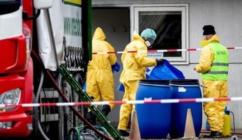 Detectan un brote de gripe aviar en una granja de Francia   