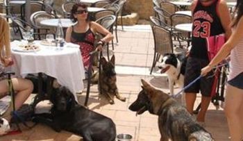 Abren el primer restaurante con carta para perros