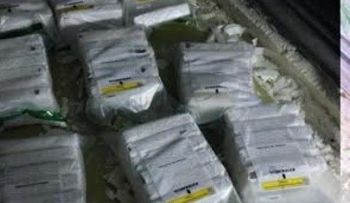 Decomisan 54 paquetes de drogas en empacadora de frutas de Cotuí