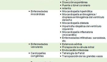 El cerebro, el gruñón y la muerte súbita