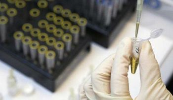 Canadá prueba una vacuna contra el ébola 