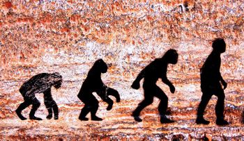¿Jaque a la teoría de la evolución? 