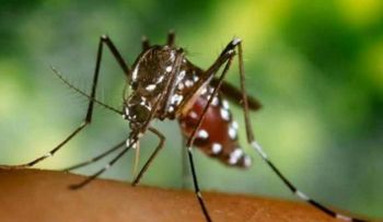 1.600 casos de chikungunya en Colombia