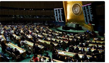 ONU permite participación de Palestina por videoconferencia