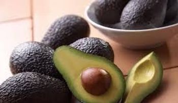 La semilla del aguacate mejora el cáncer, la artritis y otras enfermedades, descubren científicos de EEUU