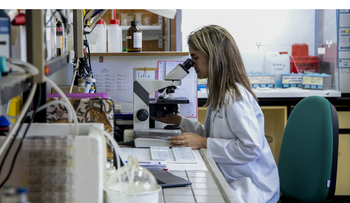 China envía ayuda alimentaria a Cuba