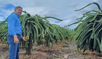 Ministro Agricultura RD realiza visita a Vietnam y a China