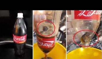 Un ratón en una botella sellada de Coca-Cola invade las redes 