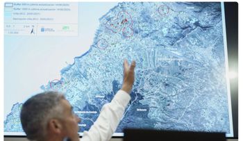 Canarias prohíbe mover uva y vid para frenar la filoxera