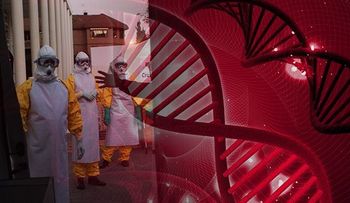 Sobrevivir o no al ébola depende de los genes