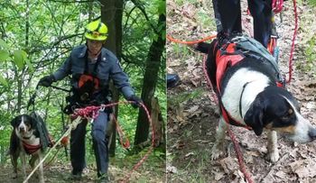Policías rescatan perro con el uso de drone 