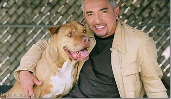 Video: Mal momento para famoso "encantador de perros"