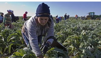 Ecologistas alertan sobre impacto del acuerdo UE-Mercosur