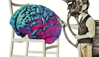 El cerebro joven se recupera de una borrachera, no de muchas