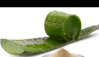 Estos son efectivos remedios caseros para curar y prevenir Enfermedades