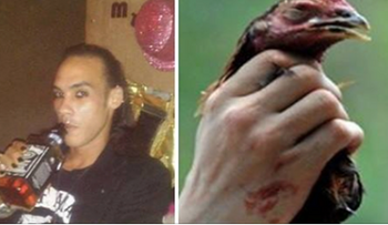 Víctor Portorreal Mendoza (El Metálico), degolló una gallina y se bebió su sangre caliente, de la propia herida del ave