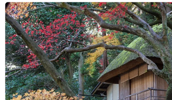 Kioto estima caída del 5 % en ocupación hotelera