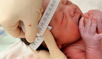 Neonatólogos iberoamericanos destacan su preocupación por zika en la región