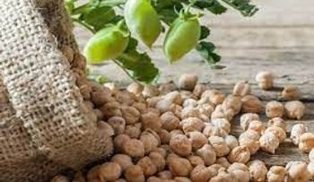 Remedio imperdible con garbanzo para bajar el colesterol y triglicéridos