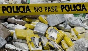 Gana peso tesis legalización de las drogas