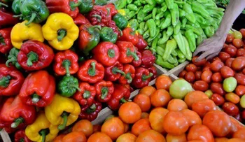 EE.UU. elimina restricciones a exportaciones de frutas y vegetales RD