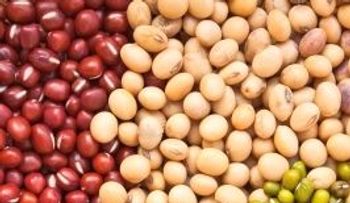 Características nutricionales de la legumbres