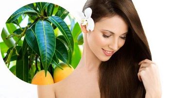 Los mangos alimentan y sirven como mascarillas para el cabello y la piel 
