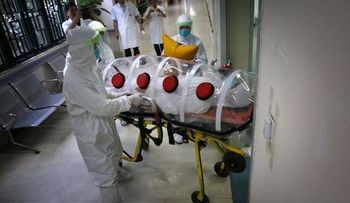 Organismo humano se encarga del ébola